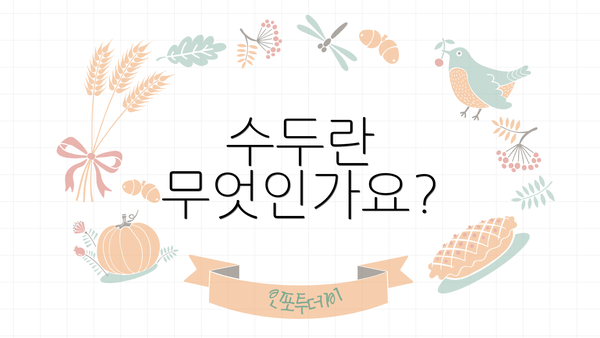 수두란 무엇인가요?