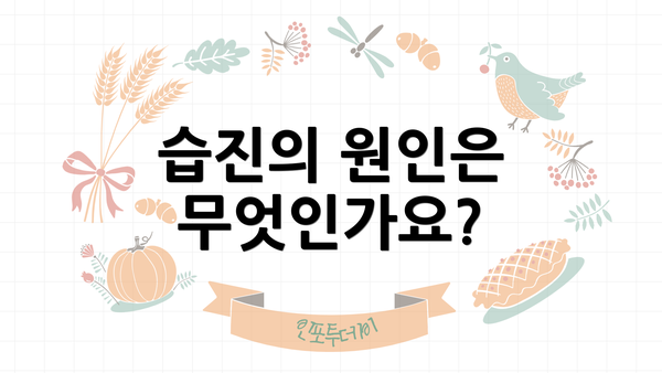 습진의 원인은 무엇인가요?
