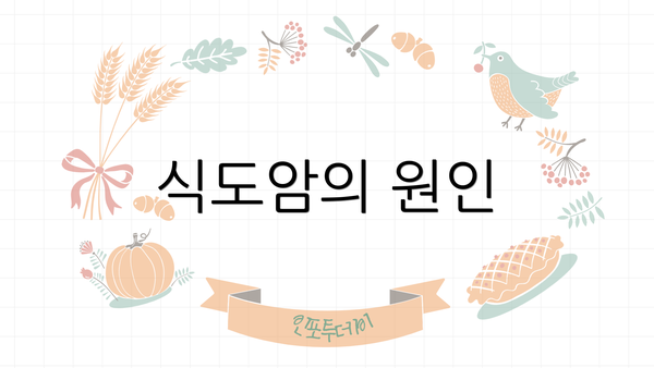 식도암의 원인