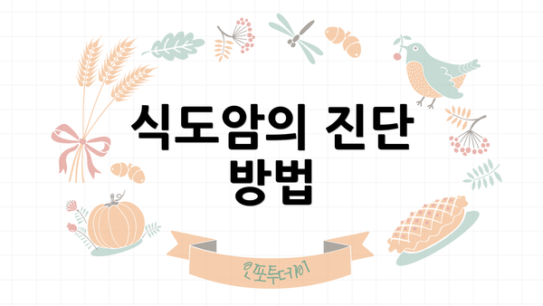 식도암의 진단 방법