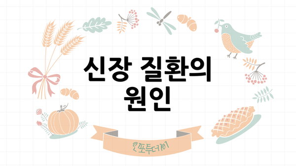 신장 질환의 원인