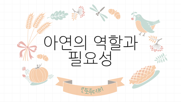 아연의 역할과 필요성