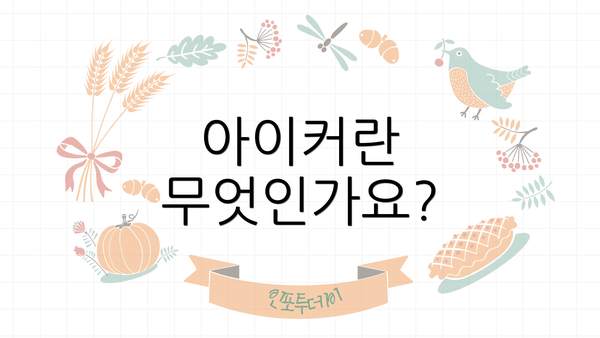 아이커란 무엇인가요?