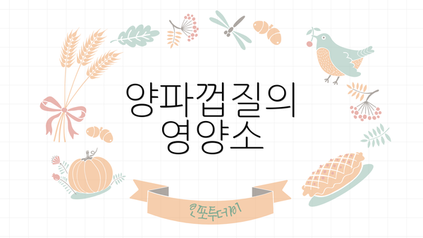 양파껍질의 영양소