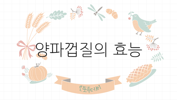 양파껍질의 효능