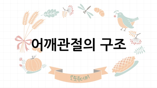 어깨관절의 구조