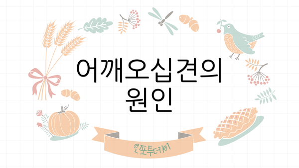 어깨오십견의 원인