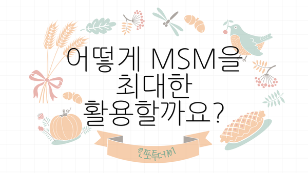 어떻게 MSM을 최대한 활용할까요?