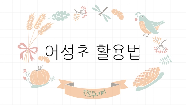 어성초 활용법