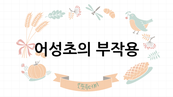 어성초의 부작용