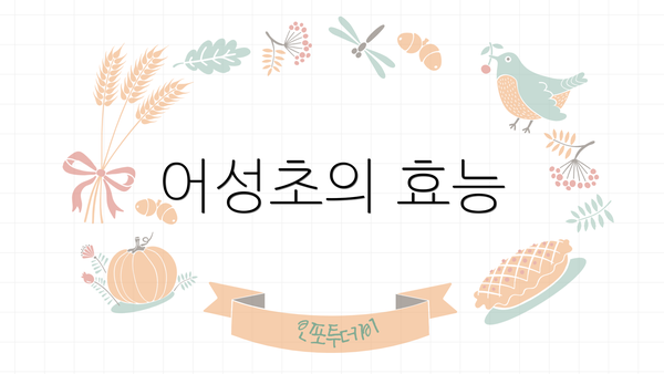 어성초의 효능