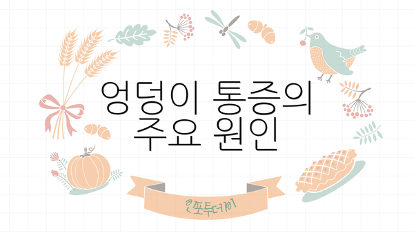 엉덩이 통증의 주요 원인