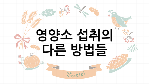 영양소 섭취의 다른 방법들