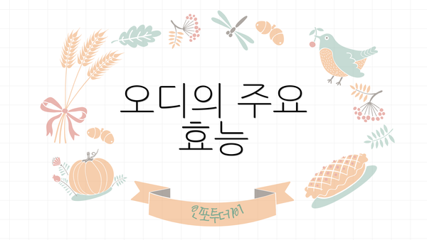 오디의 주요 효능