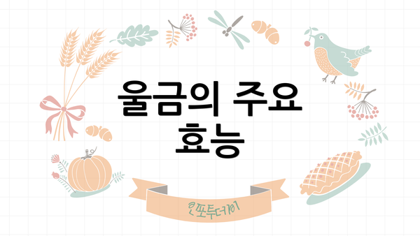 울금의 주요 효능