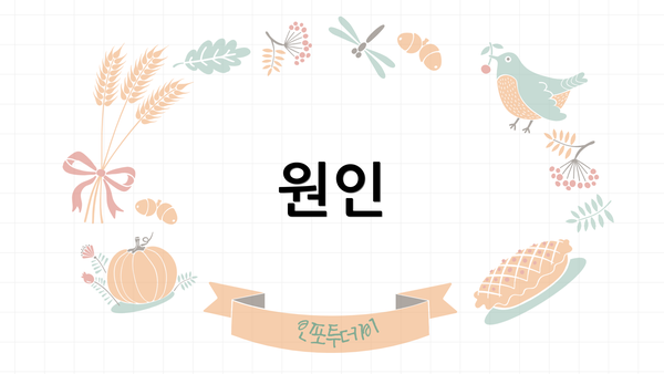 원인