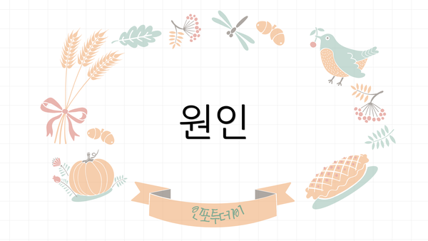 원인