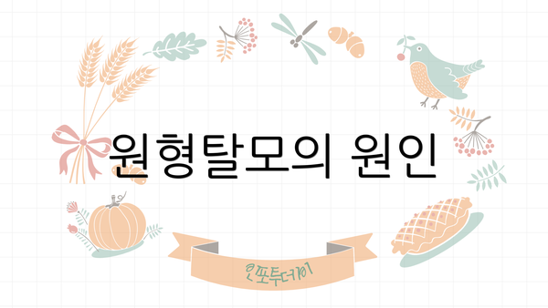 원형탈모의 원인