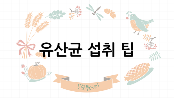 유산균 섭취 팁