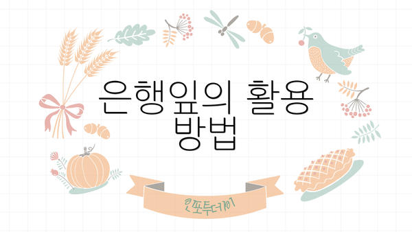 은행잎의 활용 방법