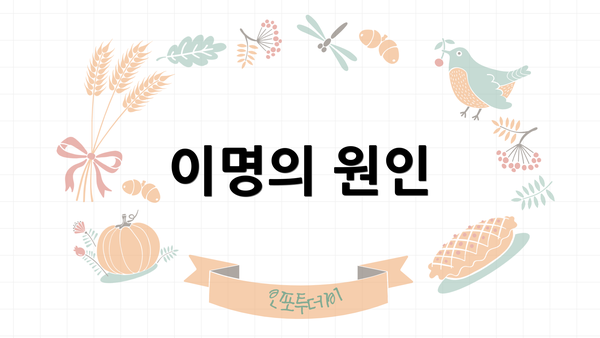 이명의 원인