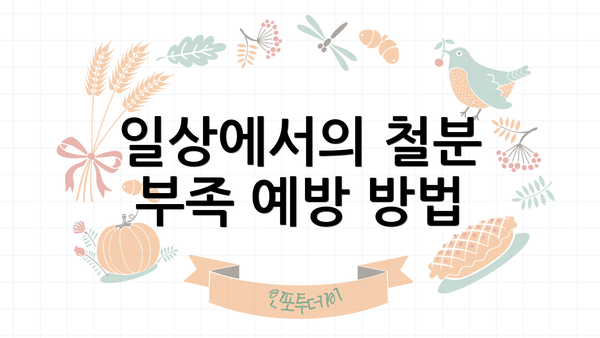 일상에서의 철분 부족 예방 방법
