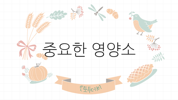 중요한 영양소