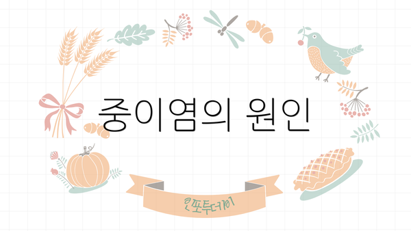 중이염의 원인
