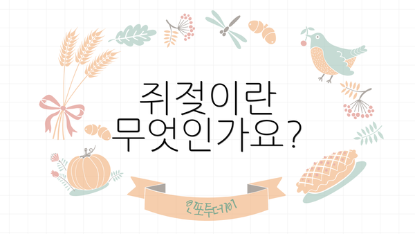 쥐젖이란 무엇인가요?