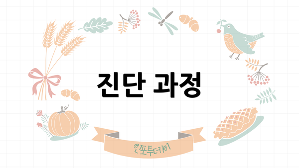 진단 과정
