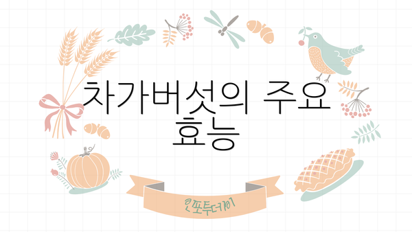 차가버섯의 주요 효능