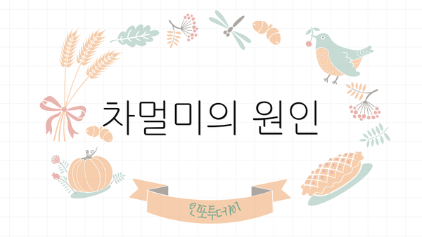 차멀미의 원인