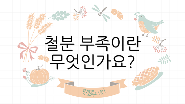 철분 부족이란 무엇인가요?