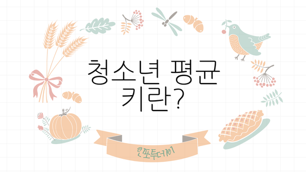 청소년 평균 키란?