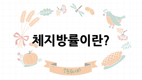 체지방률이란?