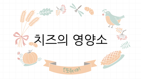 치즈의 영양소