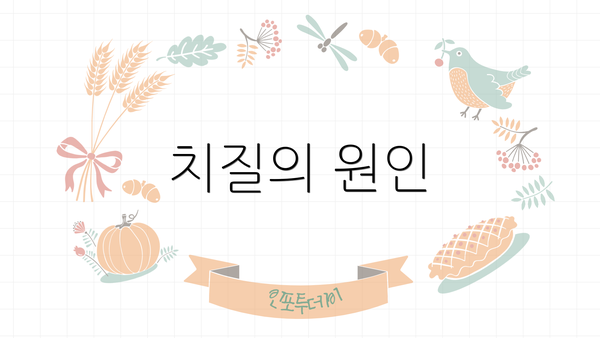 치질의 원인