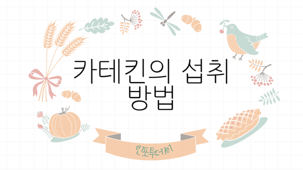 카테킨의 섭취 방법