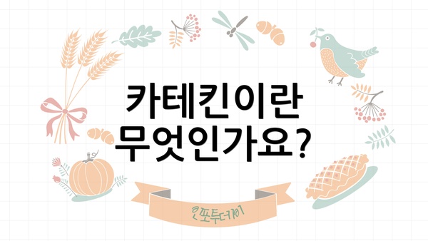 카테킨이란 무엇인가요?