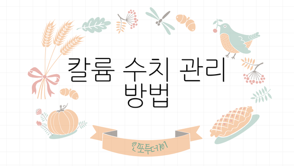 칼륨 수치 관리 방법