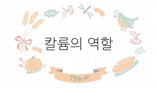칼륨의 역할