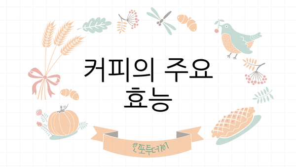 커피의 주요 효능