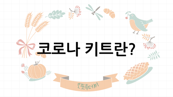 코로나 키트란?