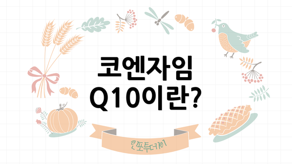 코엔자임 Q10이란?