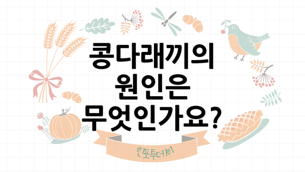 콩다래끼의 원인은 무엇인가요?