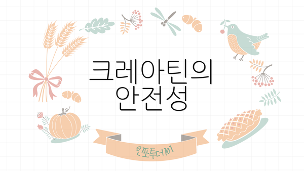 크레아틴의 안전성