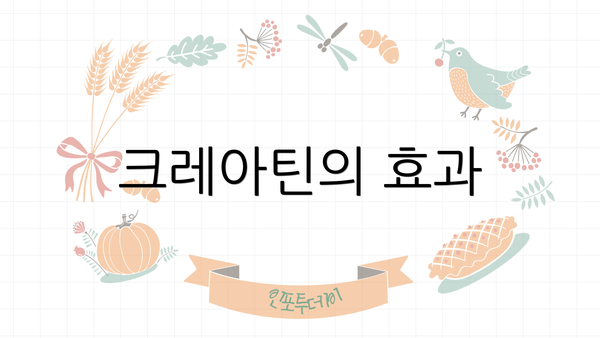 크레아틴의 효과