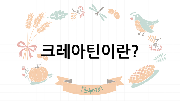 크레아틴이란?