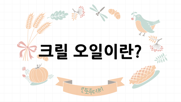 크릴 오일이란?