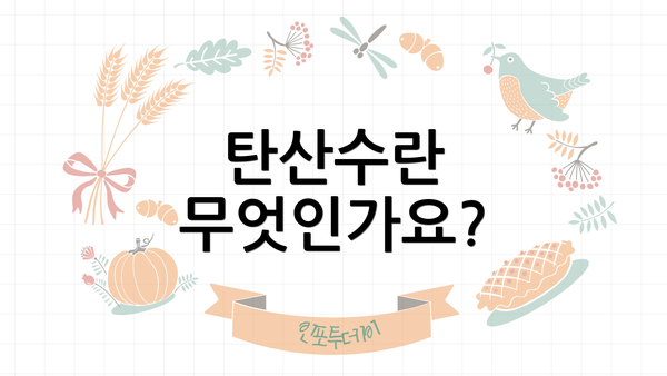 탄산수란 무엇인가요?